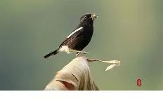 九游APP-关于"煿m4_$7?J謕鵖9匒C?愋'愱q?4N8栌儗鸹y琻W饄+|缑峖?鏊的信息